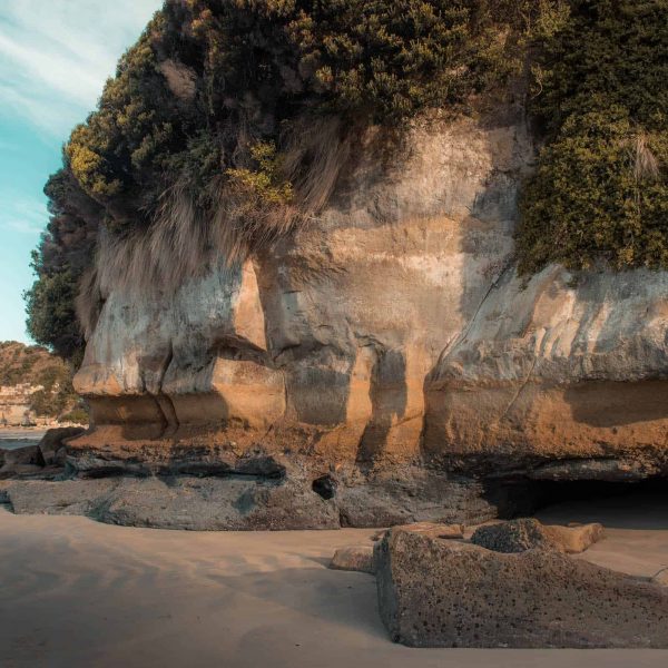 Located just west of Wynyard, Fossil Bluff is a sandstone bluff with layers of fossils embedded in the sandstone.